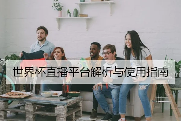 世界杯直播平台解析与使用指南