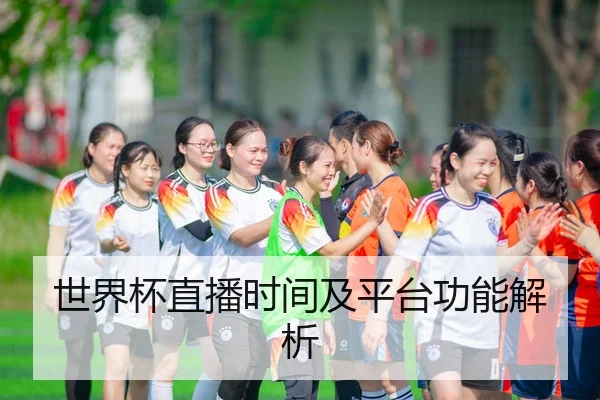 世界杯直播时间及平台功能解析