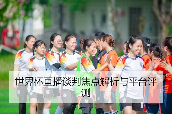 世界杯直播谈判焦点解析与平台评测