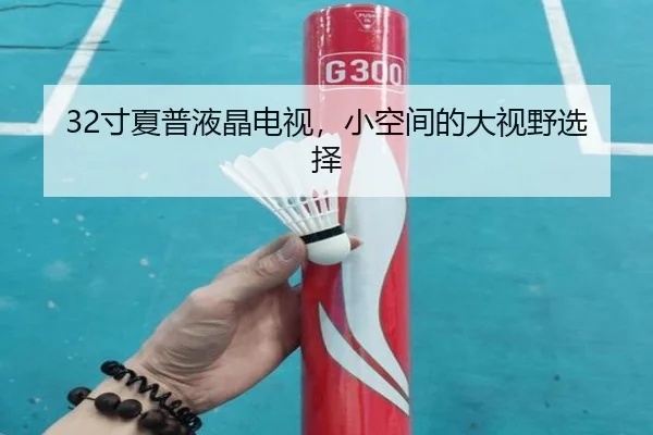 32寸夏普液晶电视，小空间的大视野选择